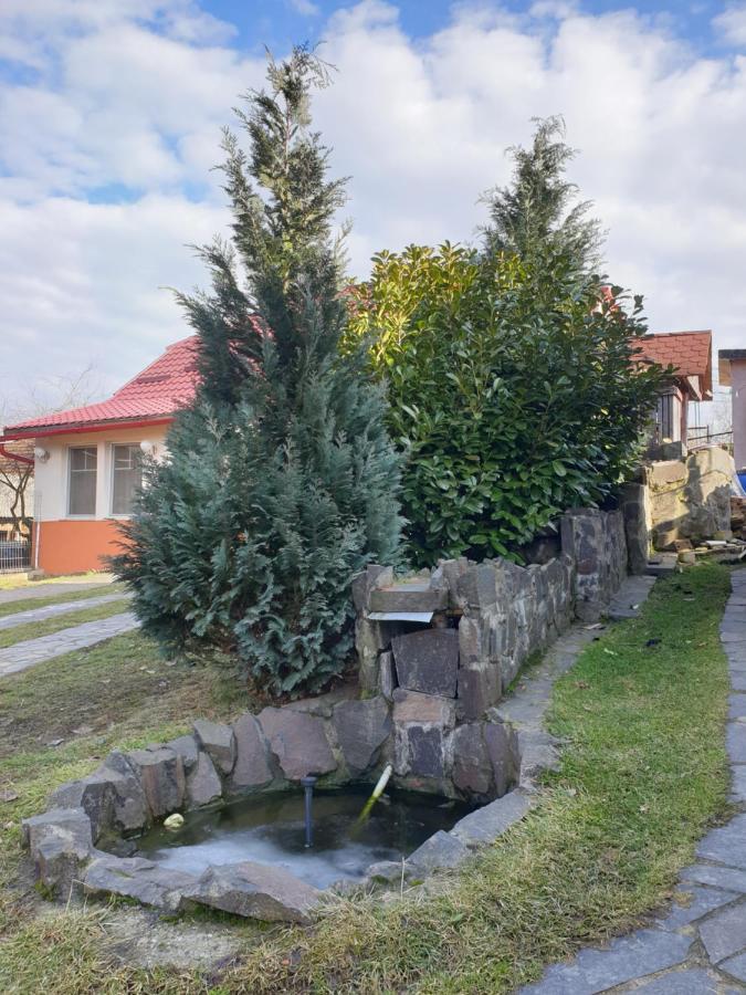 Casa Cu Fantana Villa Borlesti Luaran gambar